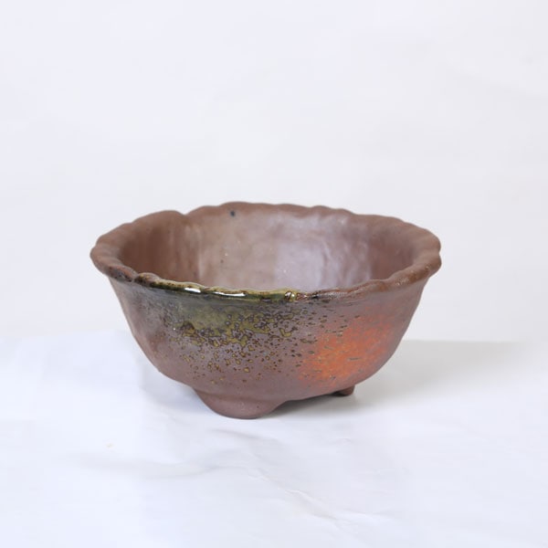 鉢：瀬戸焼三彩浅鉢 17cm*資材 | 新着商品,新入荷：鉢・その他
