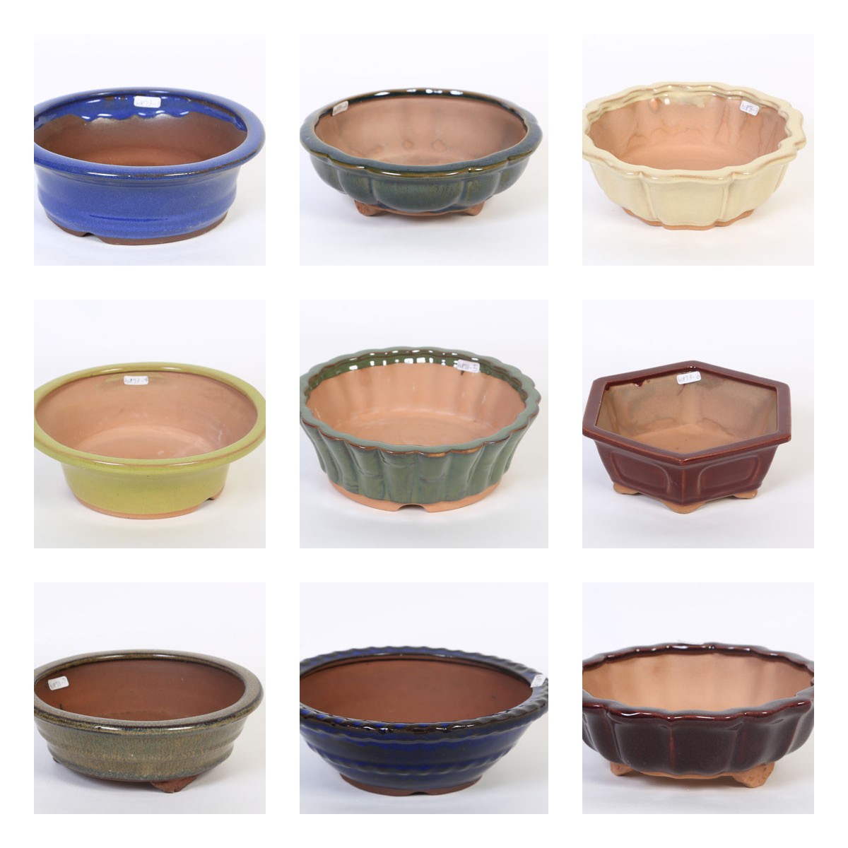 特価鉢：中国浅鉢 6号＊資材 | 新着商品,新入荷：鉢・その他 | 遊恵