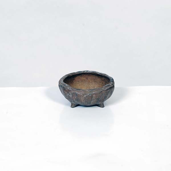 流苑 人気鉢 【公式通販】