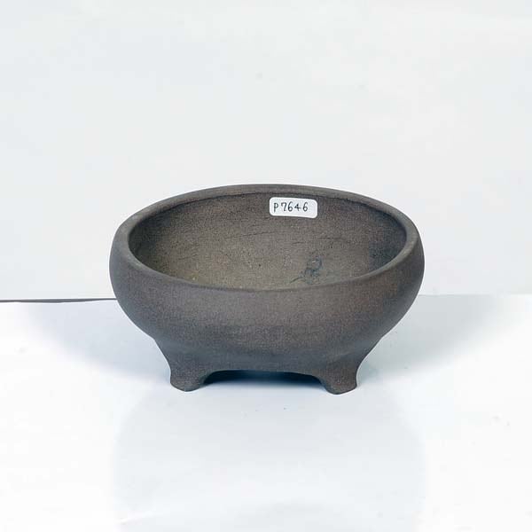 流苑 人気鉢 【公式通販】