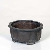 盆栽鉢・水盤,現代小鉢,流苑(りゅうえん) | 遊恵盆栽 本店