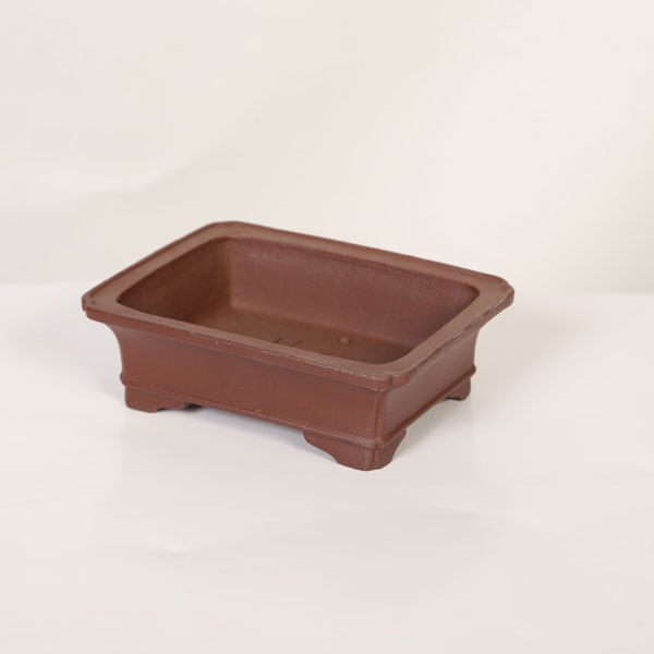 ���微ȭ���ƾ���Ĺ������ȭ�ڸ��ʡ�*shibakatu��16.0cm