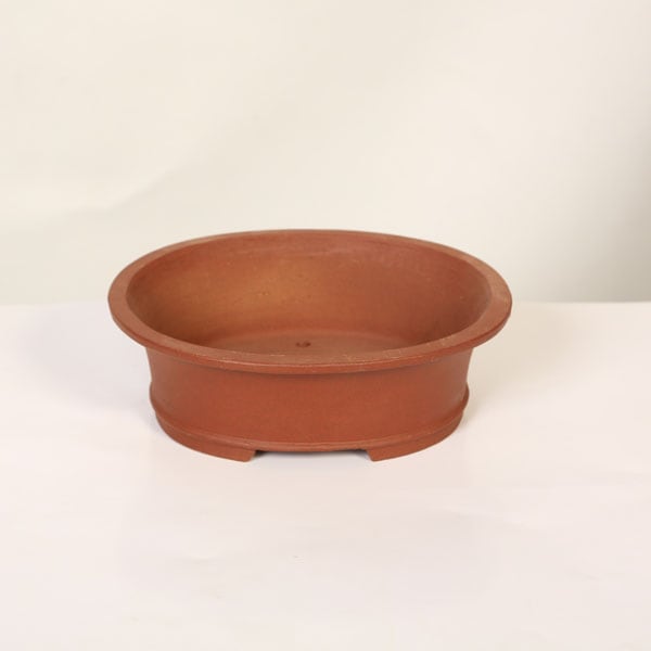 ���微ȭ���ƾ����ʱߥ���ȭ�ڸ��ʡ�*shibakatu��18.6cm