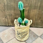 ������� ���տ�ʪ���쥵�ܥƥ� �֥���*���塼��ȭ���С� ������ ���ʤ��Ϥ�