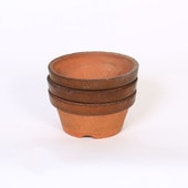 盆栽鉢・水盤 | 遊恵盆栽 本店