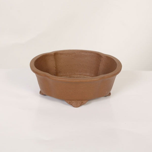 ���微ȭ���ƾ���­�ե�å�ȭ�ڸ��ʡ�*shibakatu��15.8cm