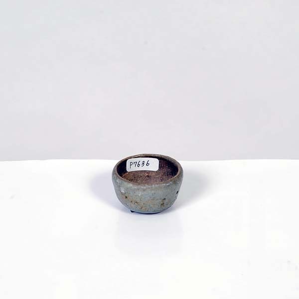 現代小鉢：和雀(わじゃく)丸鉢 4cm【現品】*資材 | 新着商品,新入荷