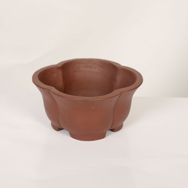 ���微ȭ���ƾ����ز�ȭ�ڸ��ʡ�*shibakatu��15.8cm