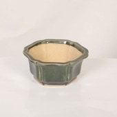 ���微ȭ���ƾ����ز�ȭ�ڸ��ʡ�*shibakatu��13.5cm