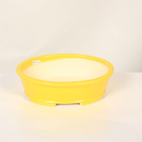 ���微ȭ���ƾ����ʱ�ȭ�ڸ��ʡ�*shibakatu��18.8cm