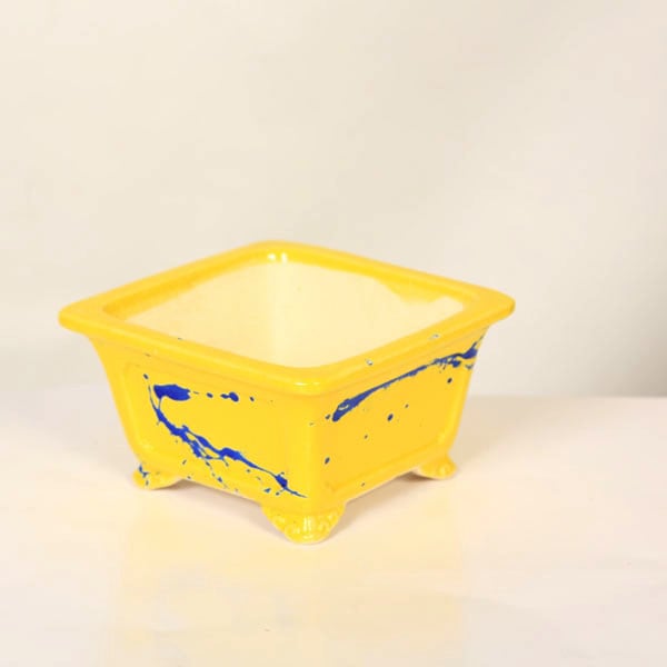 ���微ȭ���ƾ���­������ȭ�ڸ��ʡ�*shibakatu��14.8cm