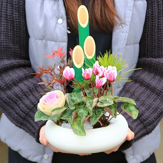 迎春：ミニ門松*寒水とピック付き【洋風白モダン鉢】bonsai | 迎春