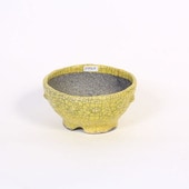 ���微ȭ������ʸ������ȭ��*12.5cm�ڸ��ʡ�bunzan