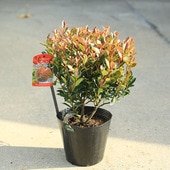 ڡڡ٥˥ʥʥ˥ȥåɥӥ5桡*ȥʥᡡ