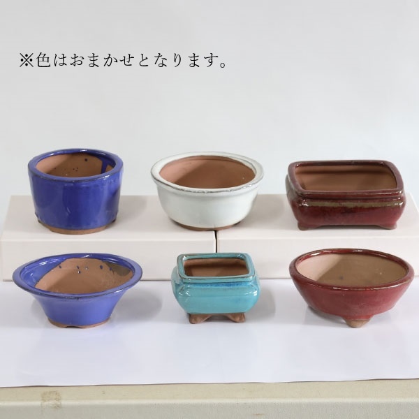 鉢：中国鉢 6点Aセット 3.5号～4号*資材 | すべての商品 | 遊恵盆栽 本店