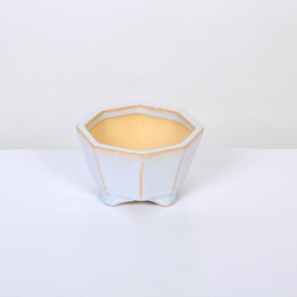 未使用　八角　小鉢　黄金の松　30個　　26237 toiro(トイロ) 80八角小鉢 焦茶流し | シリーズ,ORIGINAL,toiro