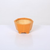 ���微ȭ����������ΩȬ��ȭ�ڸ��ʡ�*shouzan��7.7cm