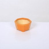 ���微ȭ����������ΩȬ��ȭ�ڸ��ʡ�*shouzan��6.5cm