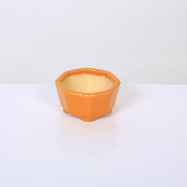 現代小鉢：昭山 切立八角鉢【現品】*shouzan 6.5cm | 盆栽鉢・水盤