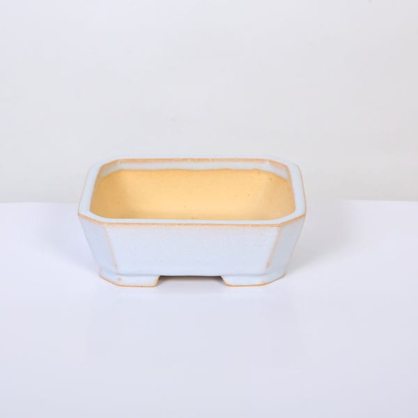 盆栽鉢　昭山 現代小鉢：昭山 切立大隅切長方鉢【現品】*shouzan 12.4cm | 新着商品