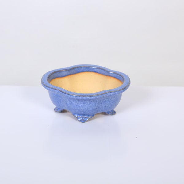 ���微ȭ��������­�ե�å�ȭ�ڸ��ʡ�*shouzan��11.0cm