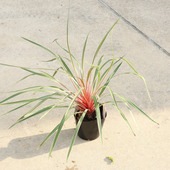 ���ڡ����� ���ġ����른��͡��ޥ��å���������5��*