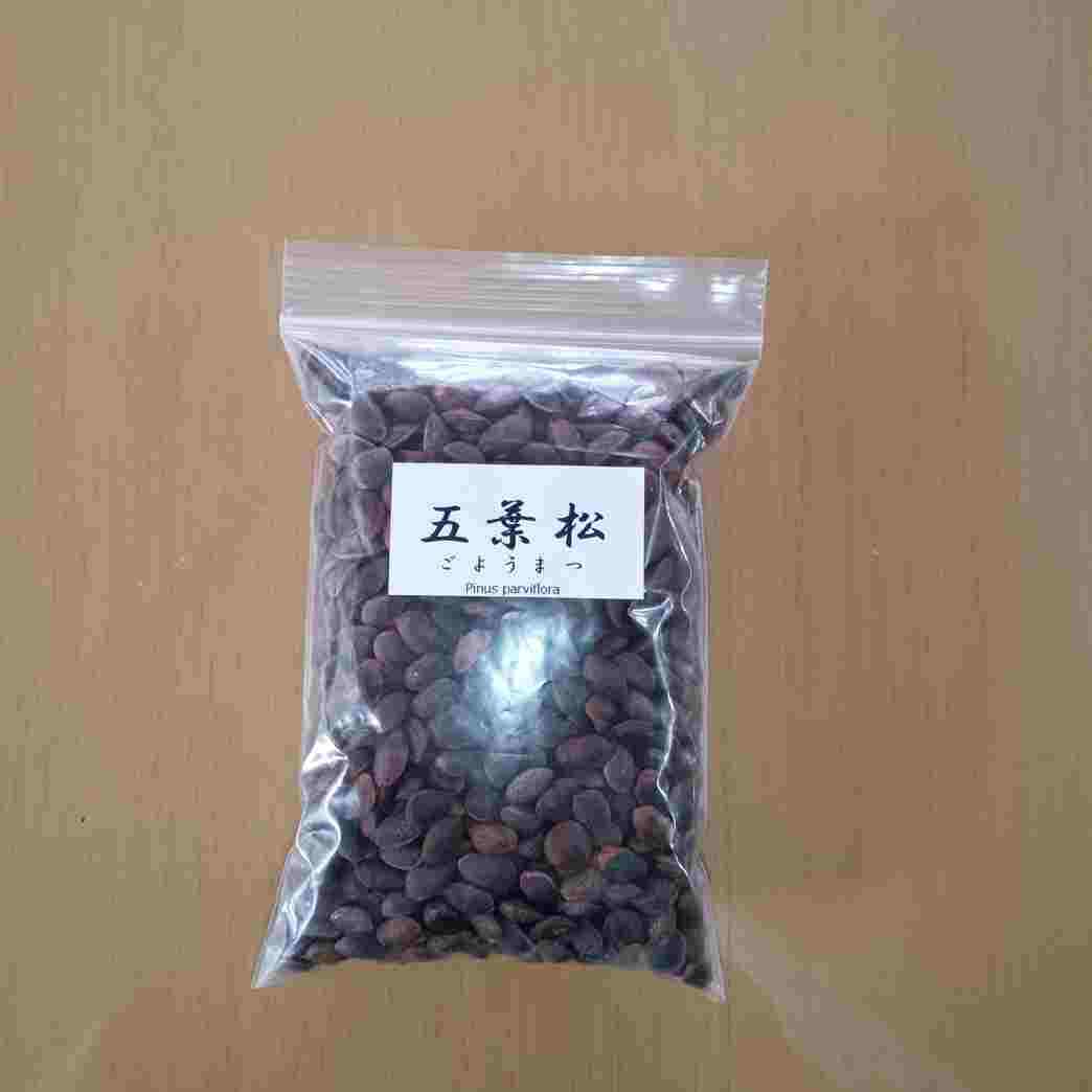 ͷߺϡվҡڶȼ͸1100γ*ʤ褦ޤ/襦ޥġ