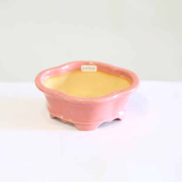 現代小鉢：昭山 足付モッコ鉢【現品】*shouzan 13.1cm | 新着商品,新