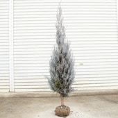 �������ڡ����ڡ����˥ե������������å��֥롼*������130�������ޥ���ȯ������ä��ˤ��ܤˤ�����ʤ�����Ǥ���