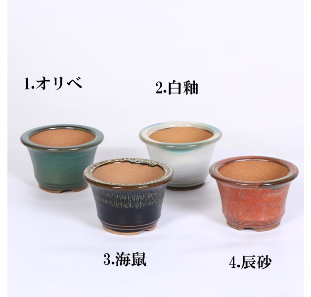 小鉢：小石原焼 丸ソリ鉢 3.5号*資材 | 新着商品,新入荷：鉢・その他