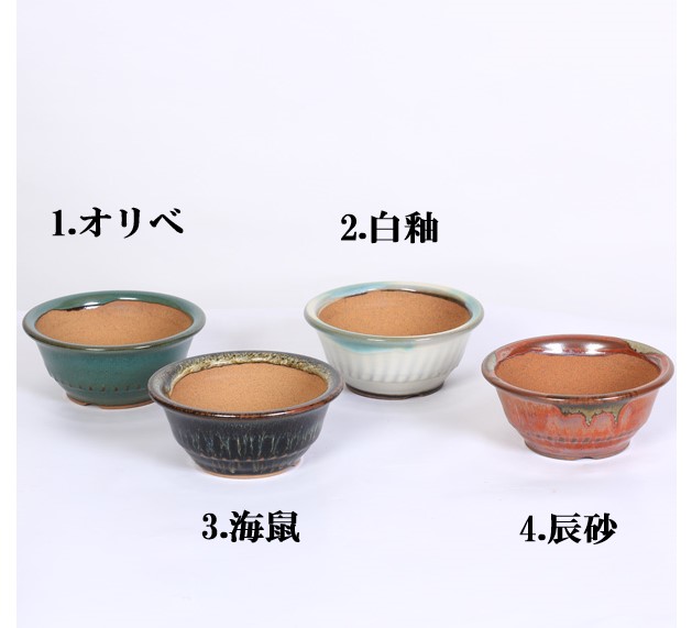 小鉢：小石原焼 ワン型鉢 4号*資材 | 新着商品,新入荷：鉢・その他