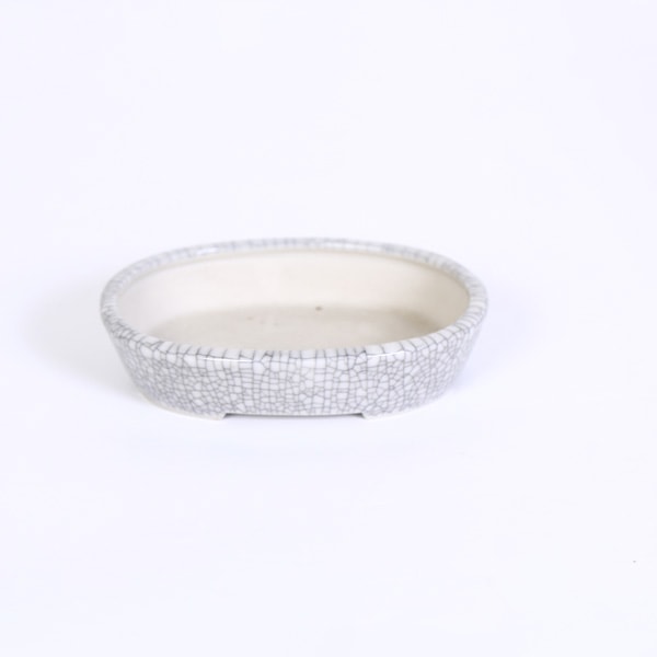 ���微ȭ���Ĺᡡ�ʱ���ȭ��10.2cm*seika