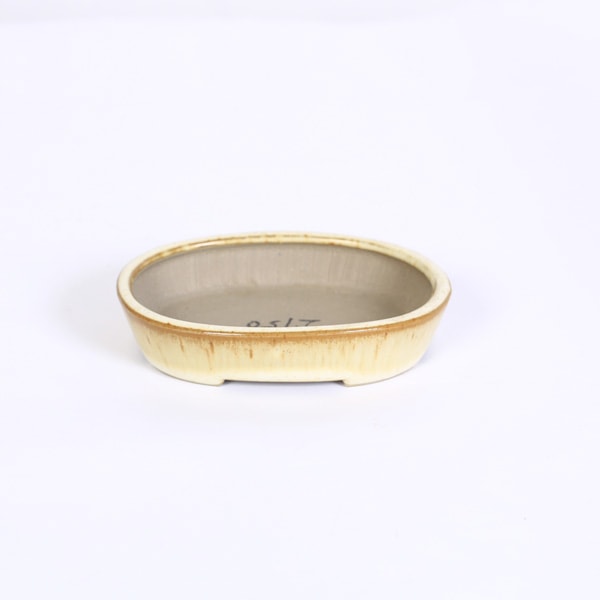 ���微ȭ���Ĺᡡ�ʱ���ȭ��10.2cm*seika