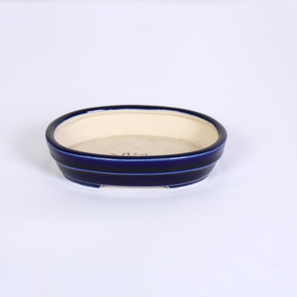 現代小鉢：青香 胴紐楕円浅鉢 10.0cm*seika | 新着商品,新入荷：鉢