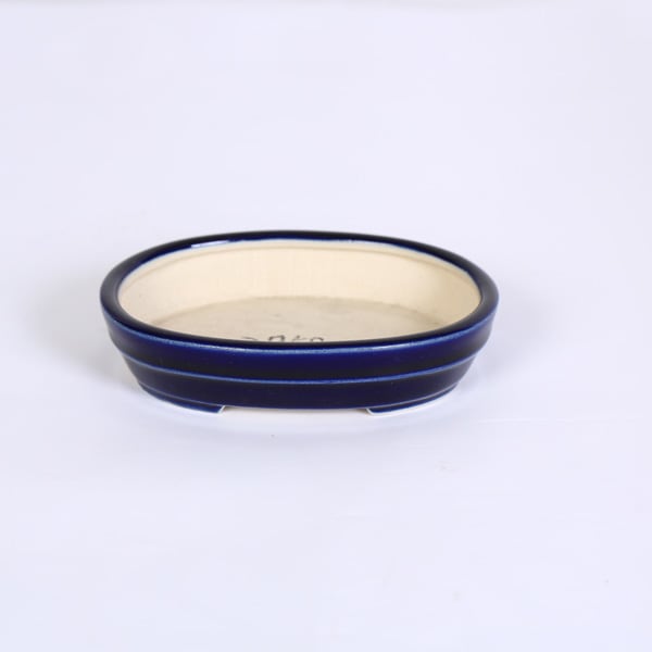 現代小鉢：青香 胴紐楕円浅鉢 10.0cm*seika | 新着商品,新入荷：鉢
