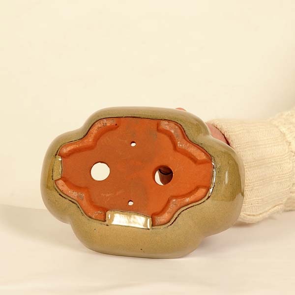 鉢：中国小鉢 モッコ鉢 19.2cm*資材 | 新着商品,新入荷：鉢・その他