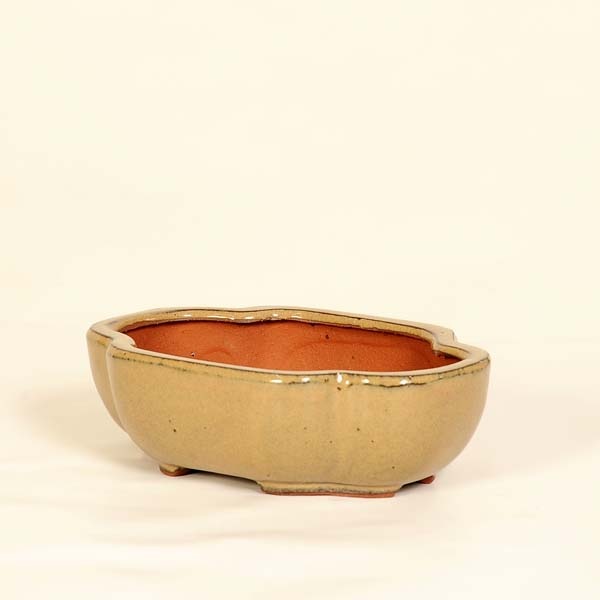 中国鉢　もっこ　盆栽鉢 鉢：中国小鉢 モッコ鉢 19.2cm*資材 | 新着商品,新入荷：鉢・その他