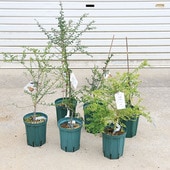 ���ڡ����ڡ��̼������ڡ��ե��󥬡��饤��ʥ���ӥ��饤���*�Ƽ浪���Ӥ����������ѡ��ץ�֥ꥹ��������२����ɡ���ȥ��ӡ�������ॾ�󥿥��ɤʤ�