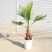 ڡ 亮ȥ䥷ʥ亮ȥܿҡˡ䥷*纬̡ȯ