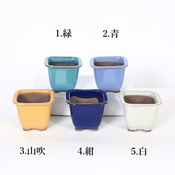 土交　正方　深め　盆栽鉢 中古】盆栽鉢 落款なし 小鉢 長辺 約5.3cm 正方鉢 染付 鳥獣戯画 蛙 兎