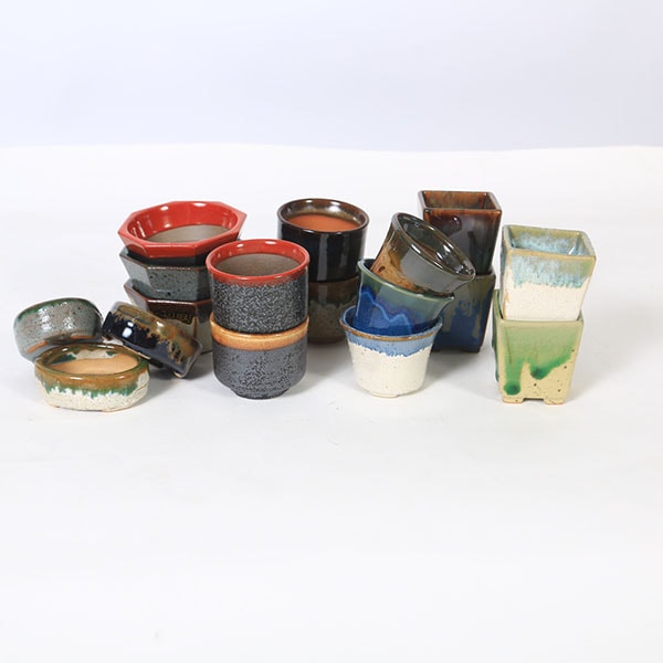 鉢：瀬戸焼豆ミニ鉢5点セット 2.5号*資材 | 新着商品,新入荷：鉢
