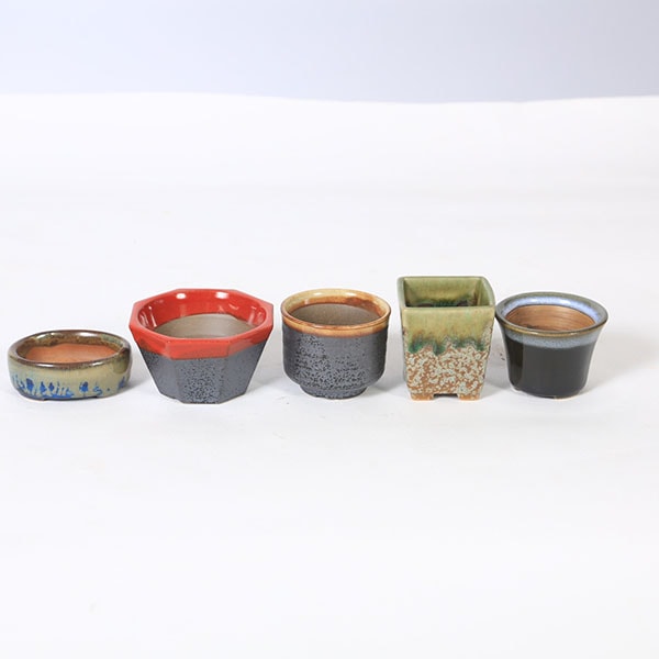 鉢：瀬戸焼豆ミニ鉢5点セット 2.5号*資材 | 新着商品,新入荷：鉢