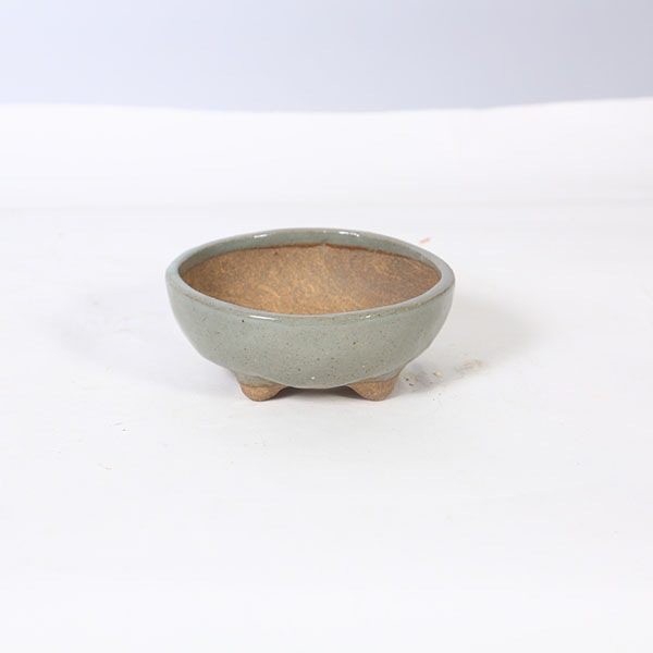 現代小鉢：祥石(二代目)ゆうき*3.5号 | 新着商品,新入荷：鉢・その他