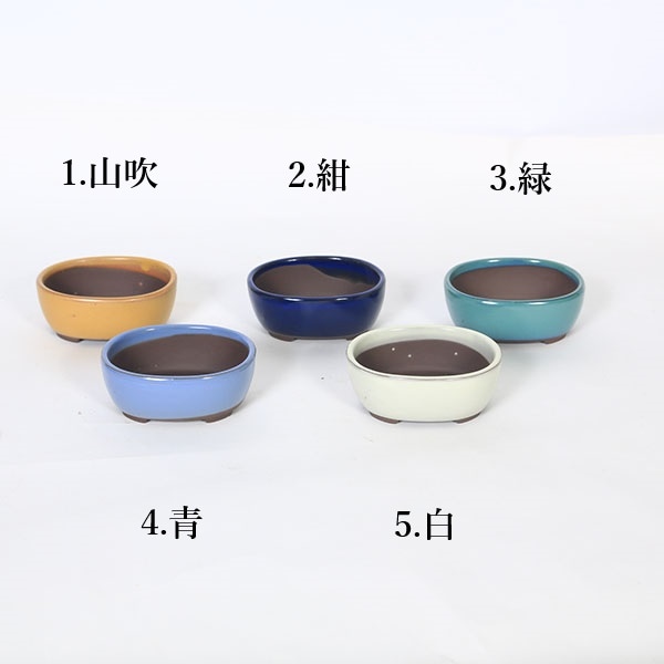 鉢：国産楕円鉢(深) 10.5cm（1951v）*資材 | 新着商品,新入荷：鉢