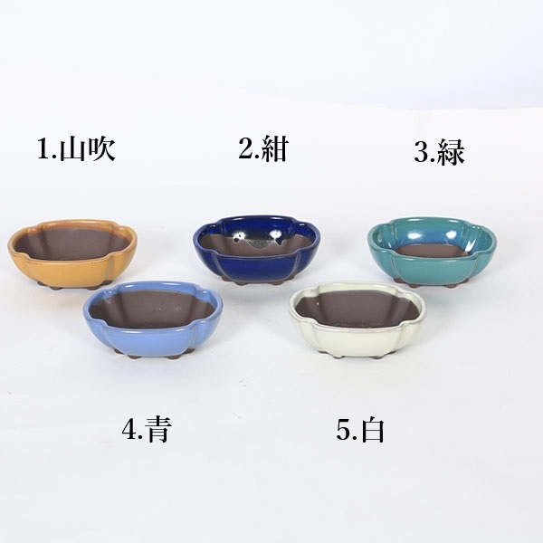 鉢：国産モッコ鉢 10.5cm （1955v）*資材 | 新着商品,新入荷：鉢
