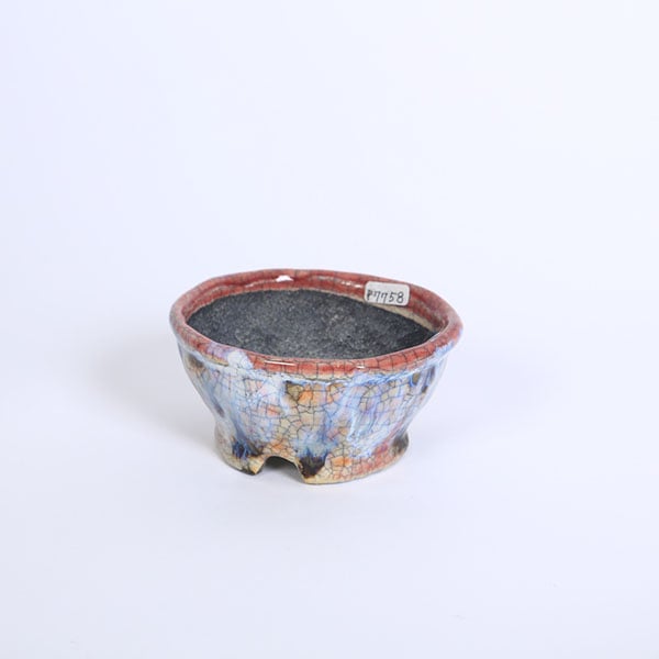 現代小鉢：越前文山(てるみ) 丸鉢 11.2cm【現品】*bunzan | 盆栽鉢