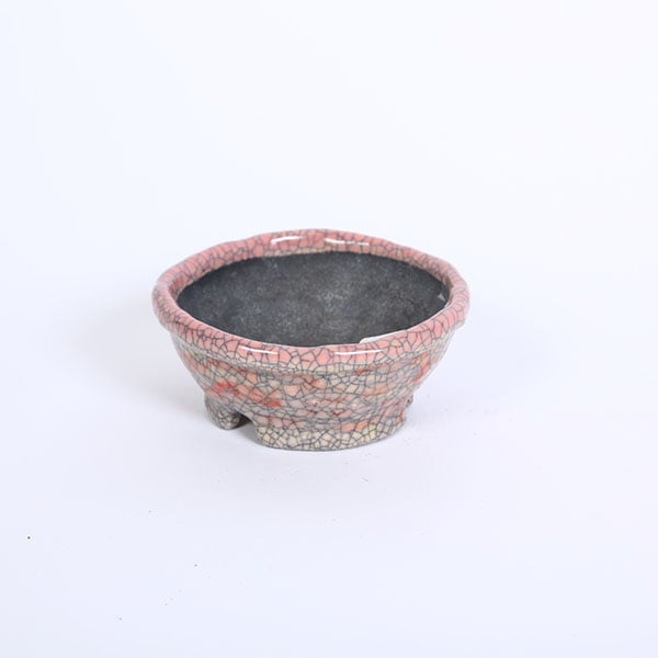 現代小鉢：越前文山(てるみ) 丸鉢 12.0cm【現品】*bunzan | 新着商品