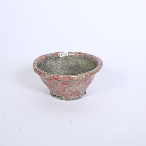 盆栽 盆栽鉢 文山 越前文山 小型 長辺 10cm 楕円鉢 赤絵 花 竹 観賞用