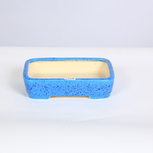 ���微ȭ���ƾ���Ĺ�������Ωȭ�ڸ��ʡ�*shibakatu��16.3cm