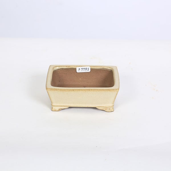 ���微ȭ���ƾ���Ĺ����ΩĹ��ȭ�ڸ��ʡ�*shibakatu��10.0cm